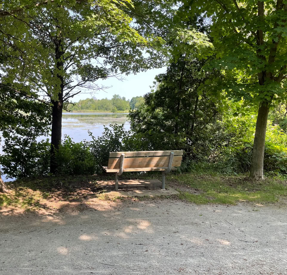 Bench alongside the Elora Cataract Trailway overlooking HIllsburgh mill pond in HIllsburgh ON