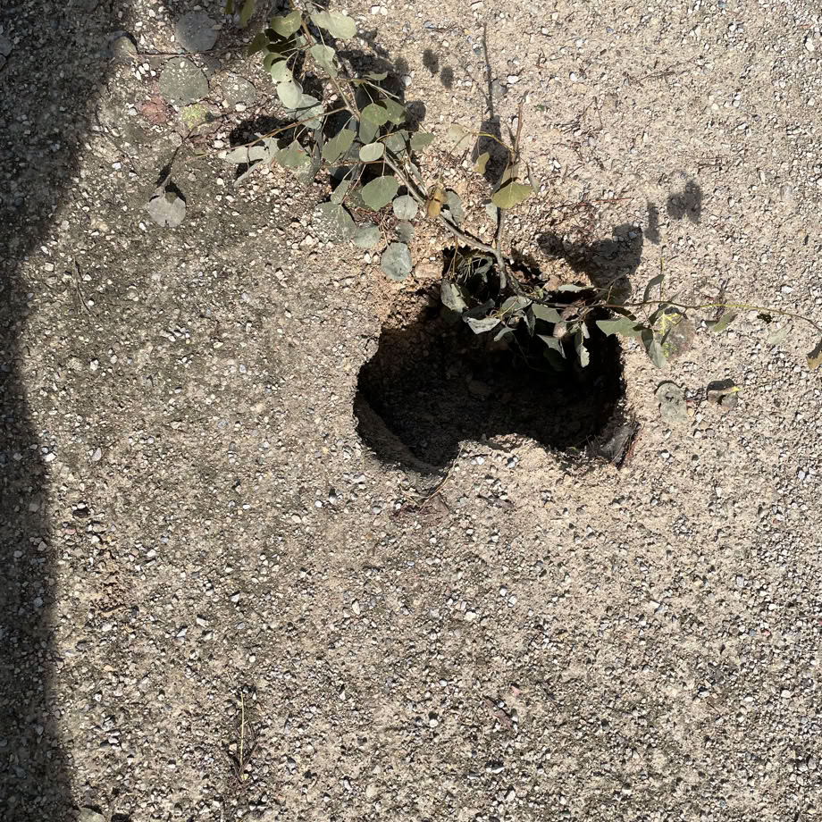 Large sinkhole on the Elora Cataract Trailway