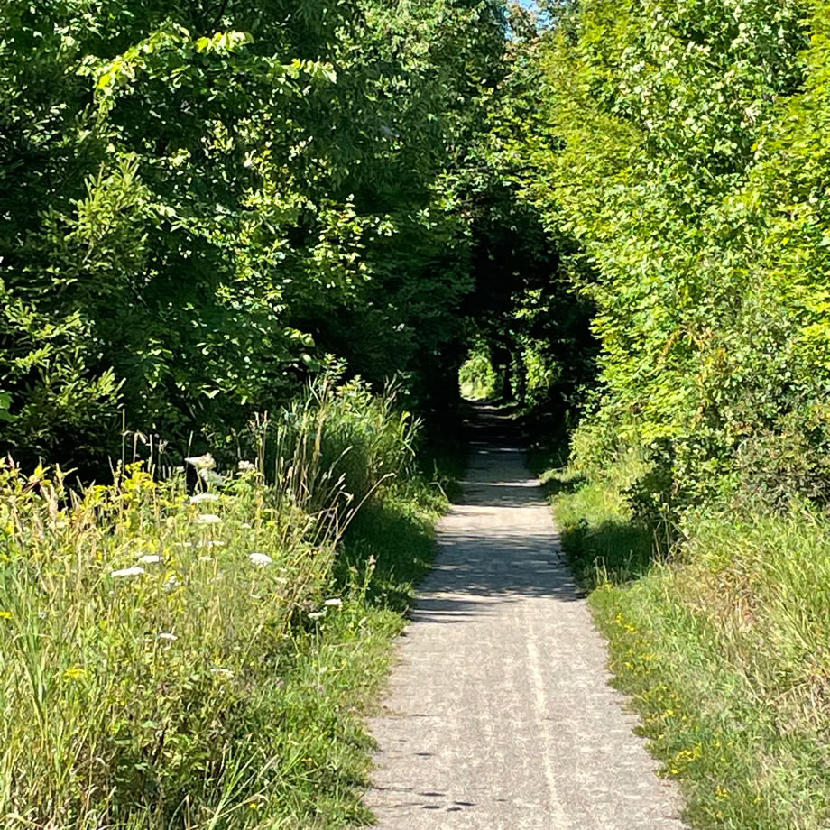 Summer view of treed Trailway section east of Erin ON