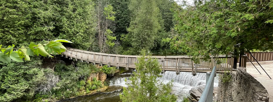 Wooden suspension bridge in Belfountain Conservation Area