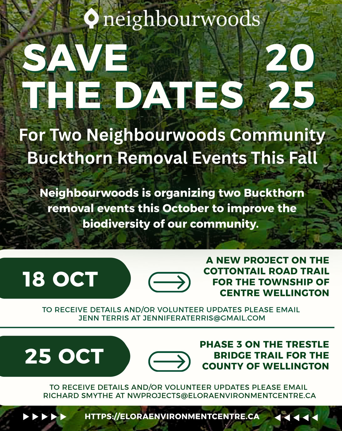 Neighbourwoods poster about upcoming invasive species removal events