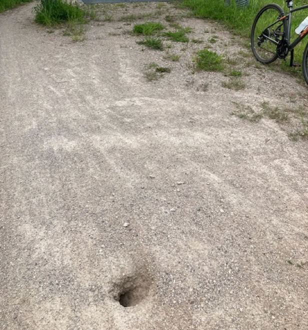 Sinkhole on the Elora Cataract Trailway