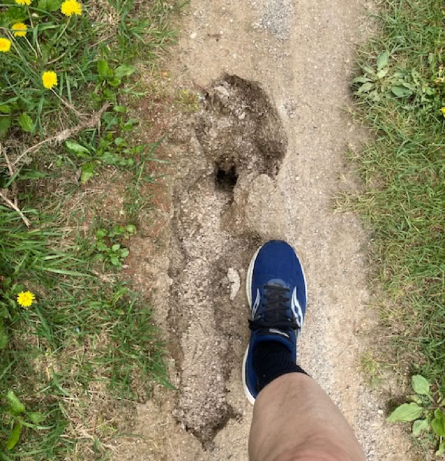 Sinkhole and rut on Elora Cataract Trailway