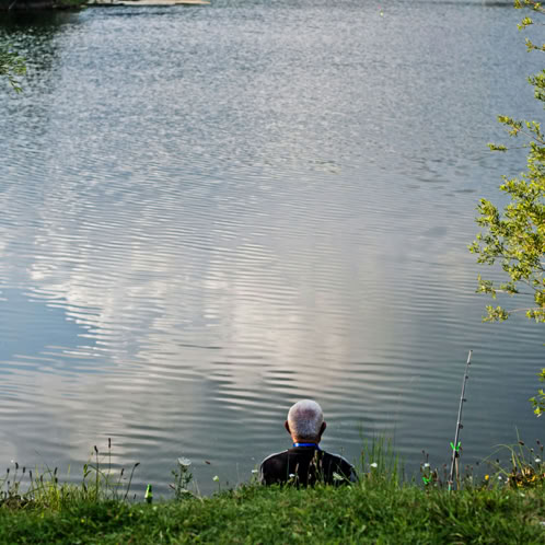 Back of person sitting on the bank of a water body admirng the view.