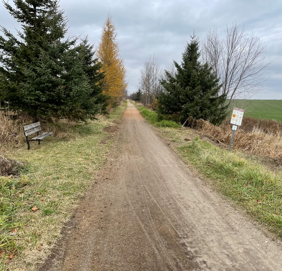 Fall view of Elora Cataract Trailway beside Wellington County Road 19 after trailway re-widening.