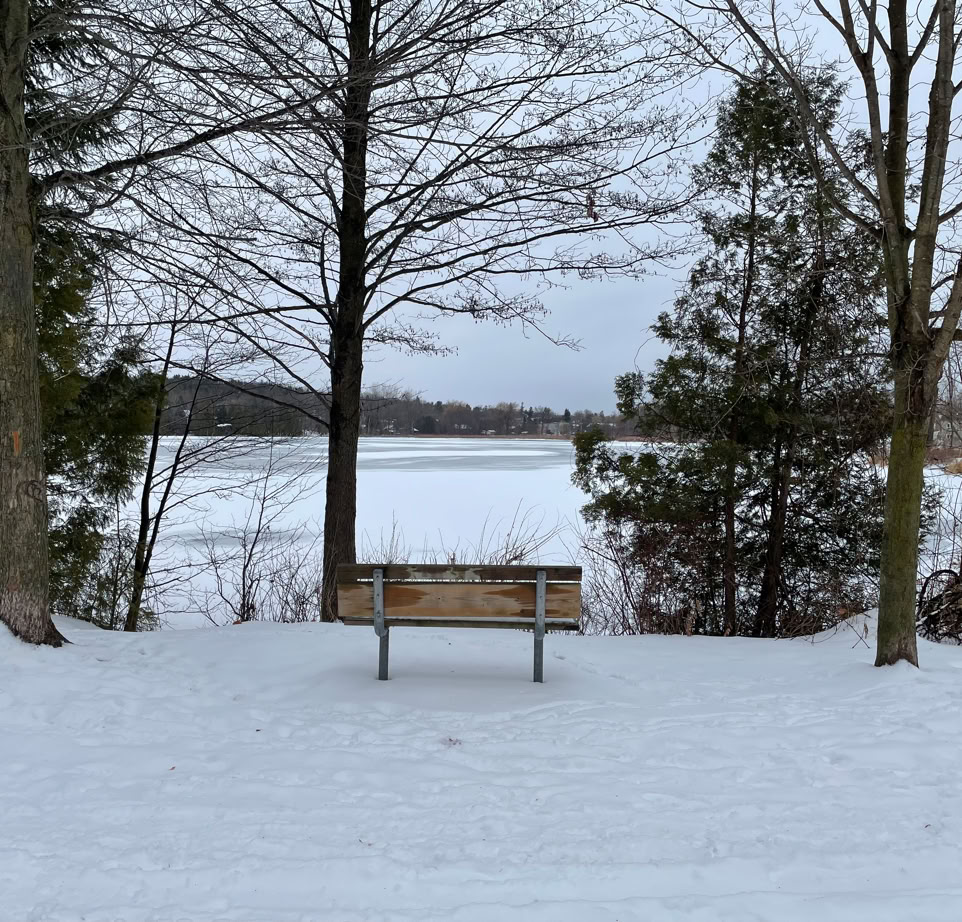 Winter scene of bench alongside Elora Cataract Trailway overlooking mill pond in Hillsburgh