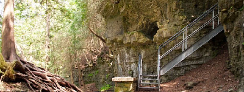 A scenic view of the stairs leading up to the Hole in the Rock at the Elora Gorge Park.