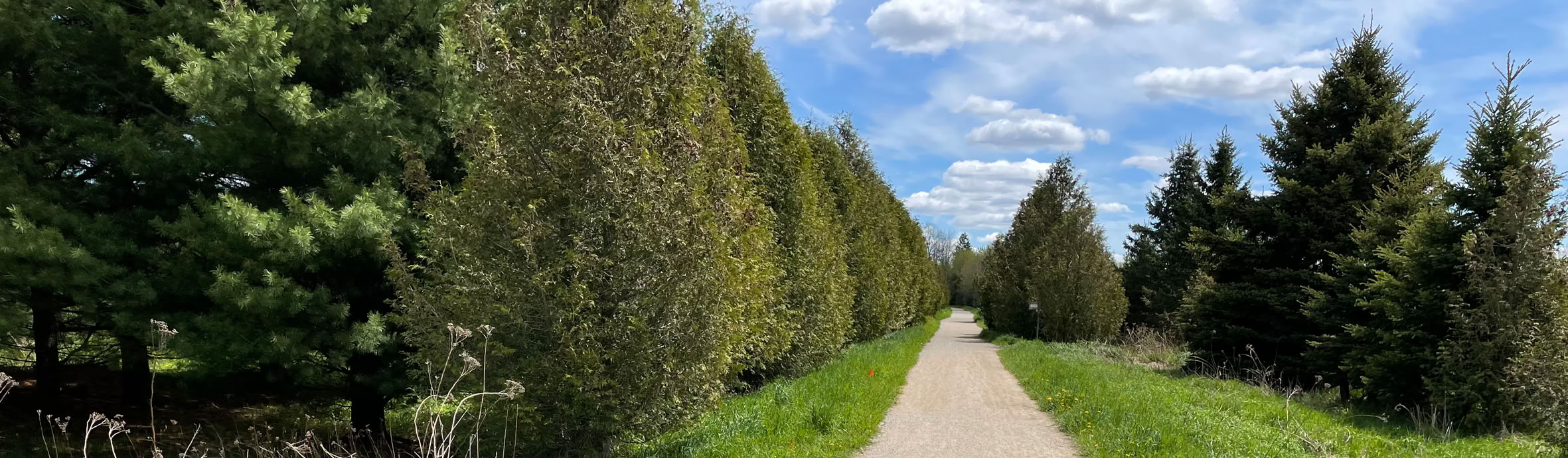 Summer picture of Elora Cataract Trailway between Elora and Fergus ON