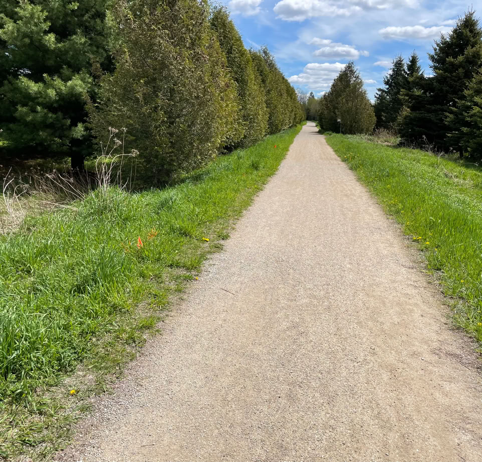 Summer picture of Elora Cataract Trailway between Elora and Fergus ON