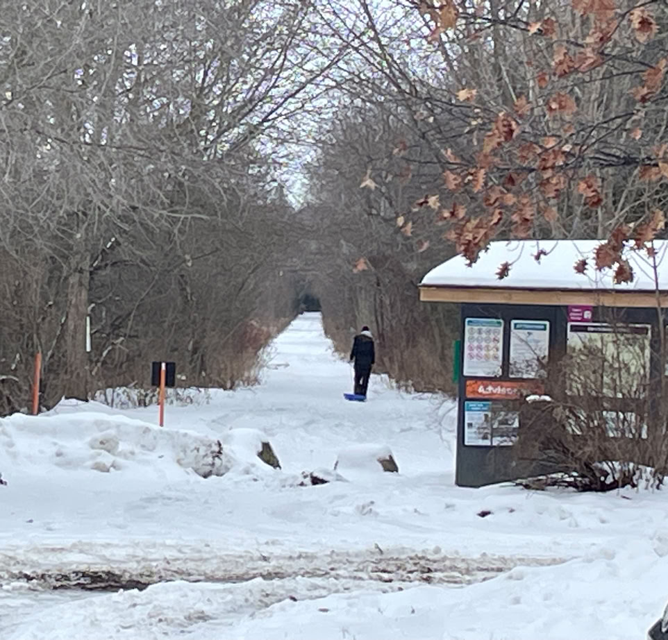 Winter scene of man pulling toboggan on the Elora Cataract Trailway in Hillsburgh