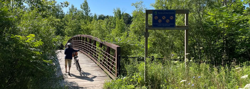 View of arched metal bridge inside park.