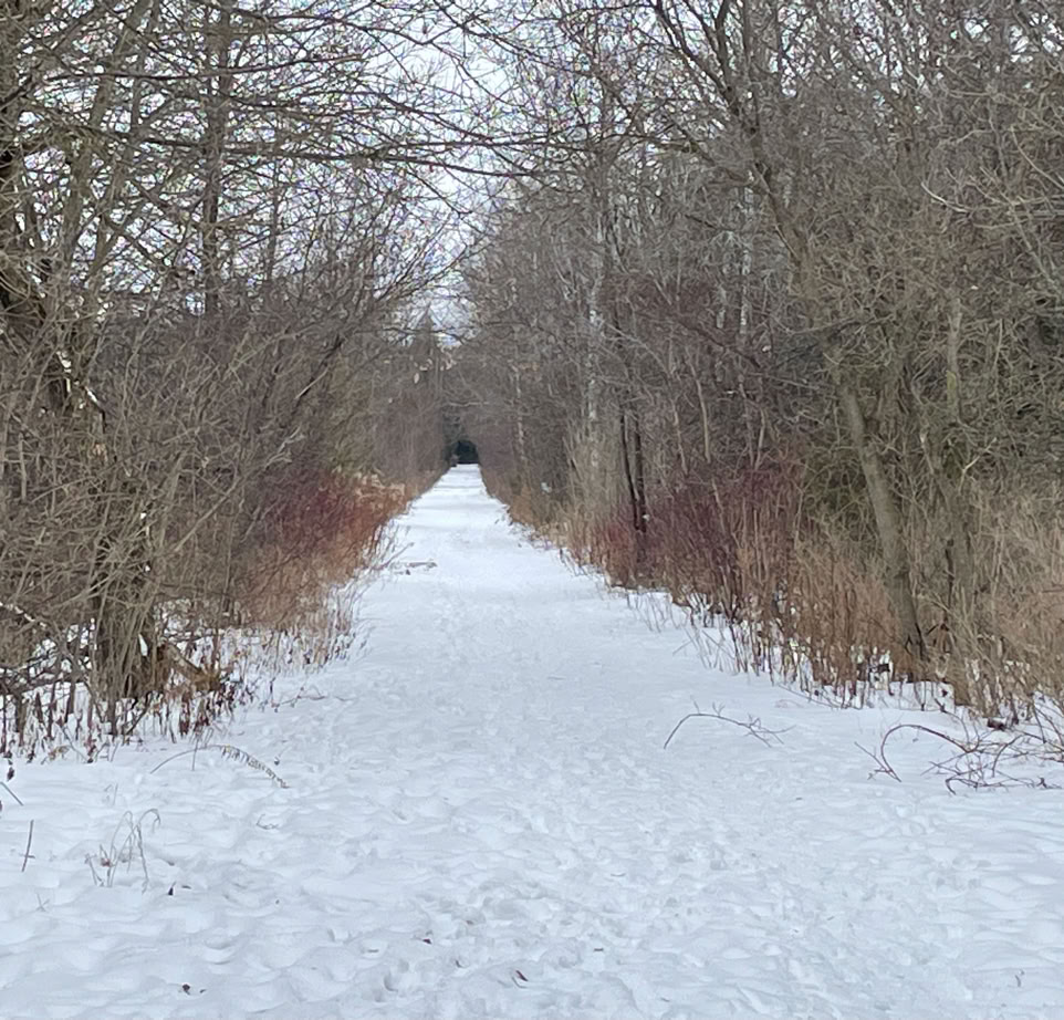 Winter scene of Elora Cataract Trailway near Hillsburgh