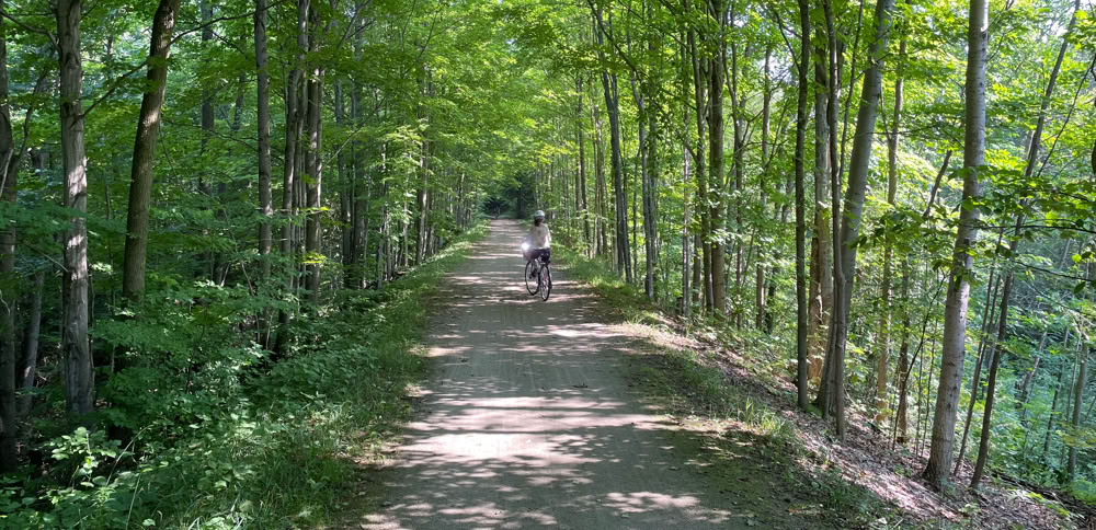 Picture of lone cylcist amongst trees on the Elora Cataract Trailway