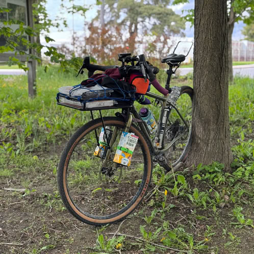 Bicycle leaning against tree