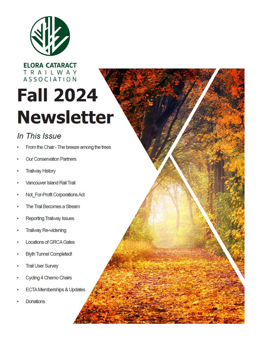 Neighbourwoods poster about upcoming invasive species removal events